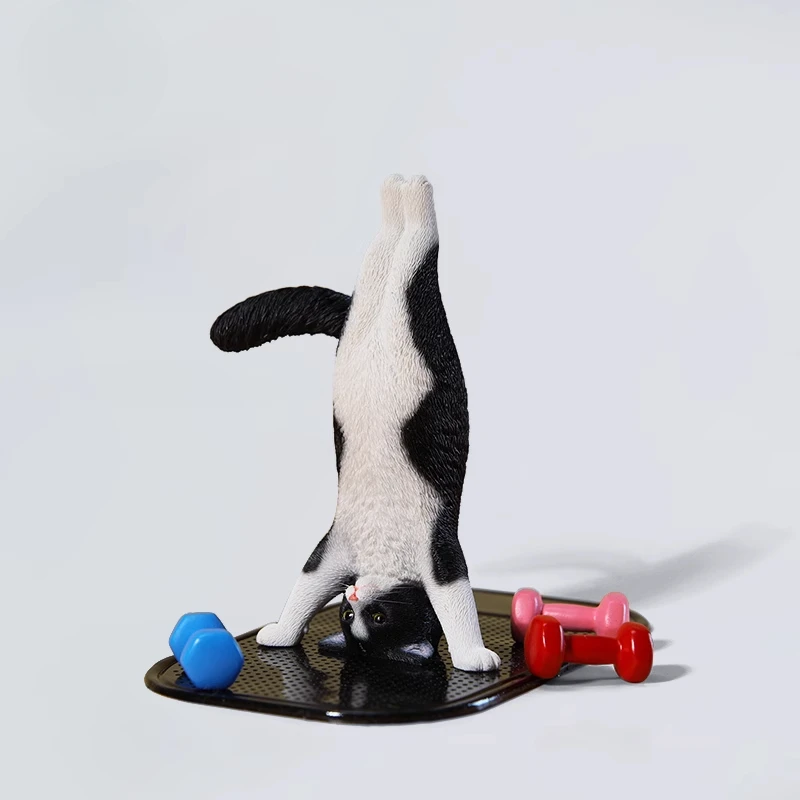 1/6 Model kucing yoga simulasi - Yoga Fitness Model ulasan dan harga