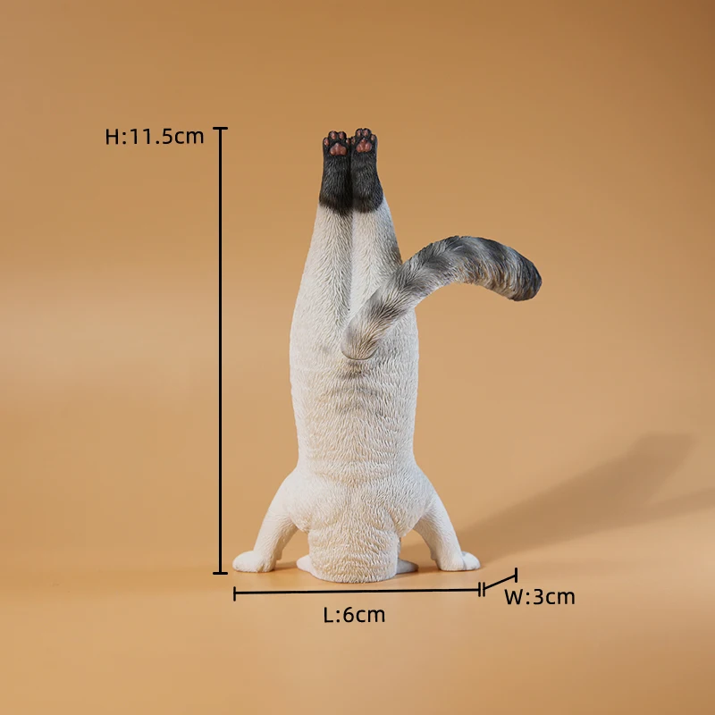 1/6 Model kucing yoga simulasi - Yoga Fitness Model ulasan dan harga