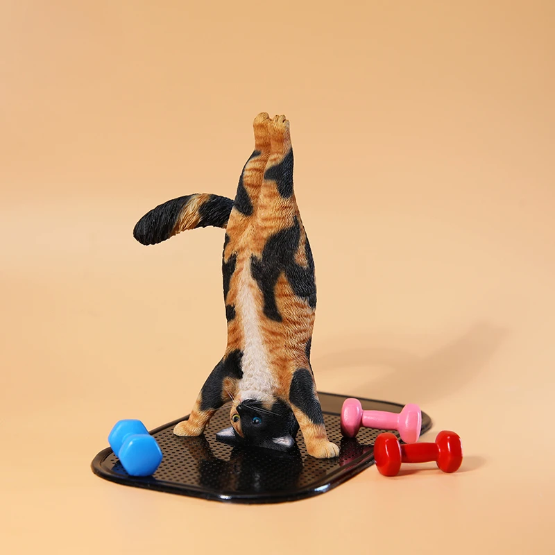 1/6 Model kucing yoga simulasi - Yoga Fitness Model ulasan dan harga