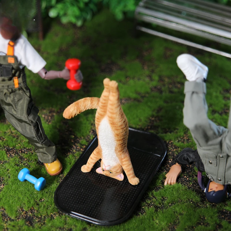 1/6 Model kucing yoga simulasi - Yoga Fitness Model ulasan dan harga